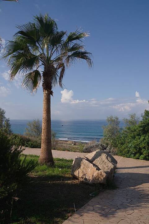 A sea view, Chloraka, Cyprus (IMGP1957p) — travel photo of Cyprus
