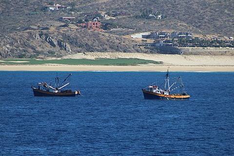 Fishing Trawlers off Cabo San Lucas — travel photo of Cabo San Lucas, Baja California & Los Cabos (Mexico)