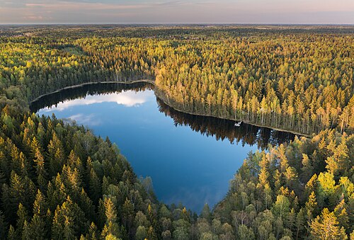 Bisajärvi in evening light from the southwest in Sipoonkorpi, Vantaa, Finland, May — travel photo of Finland