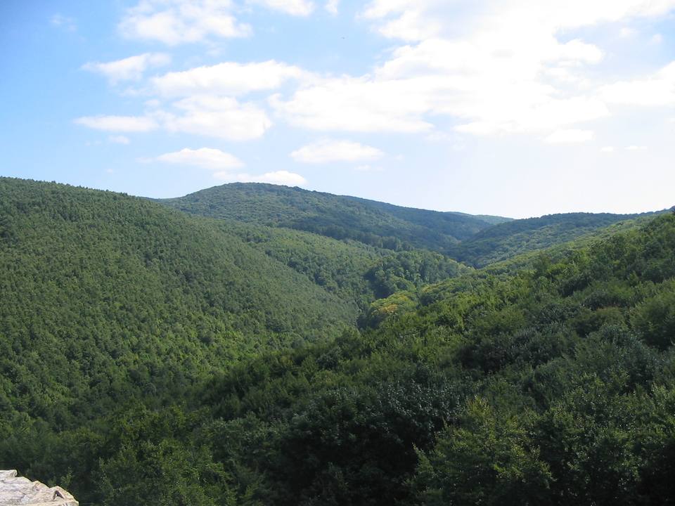 Mecsek — travel photo of Mecsek Hills, Pécs