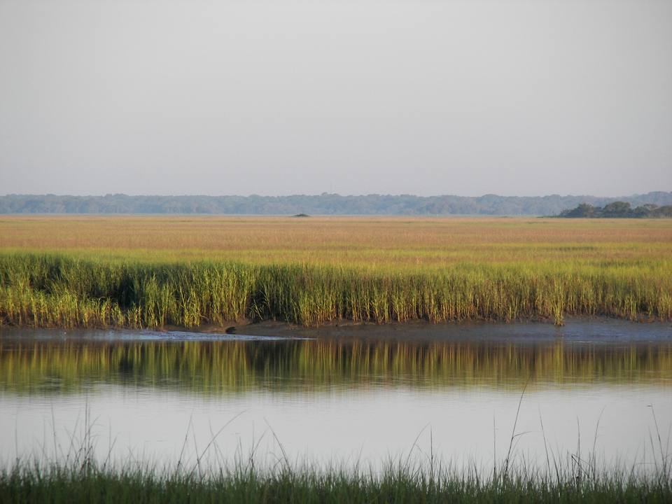 South Carolina Lowcountry — travel photo of The Lowcountry & Sea Islands