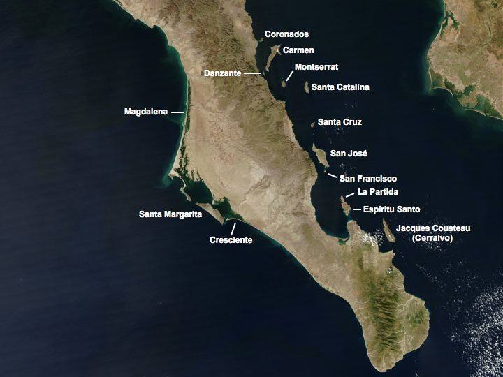 Isla Danzante — travel photo of Isla Danzante, Loreto