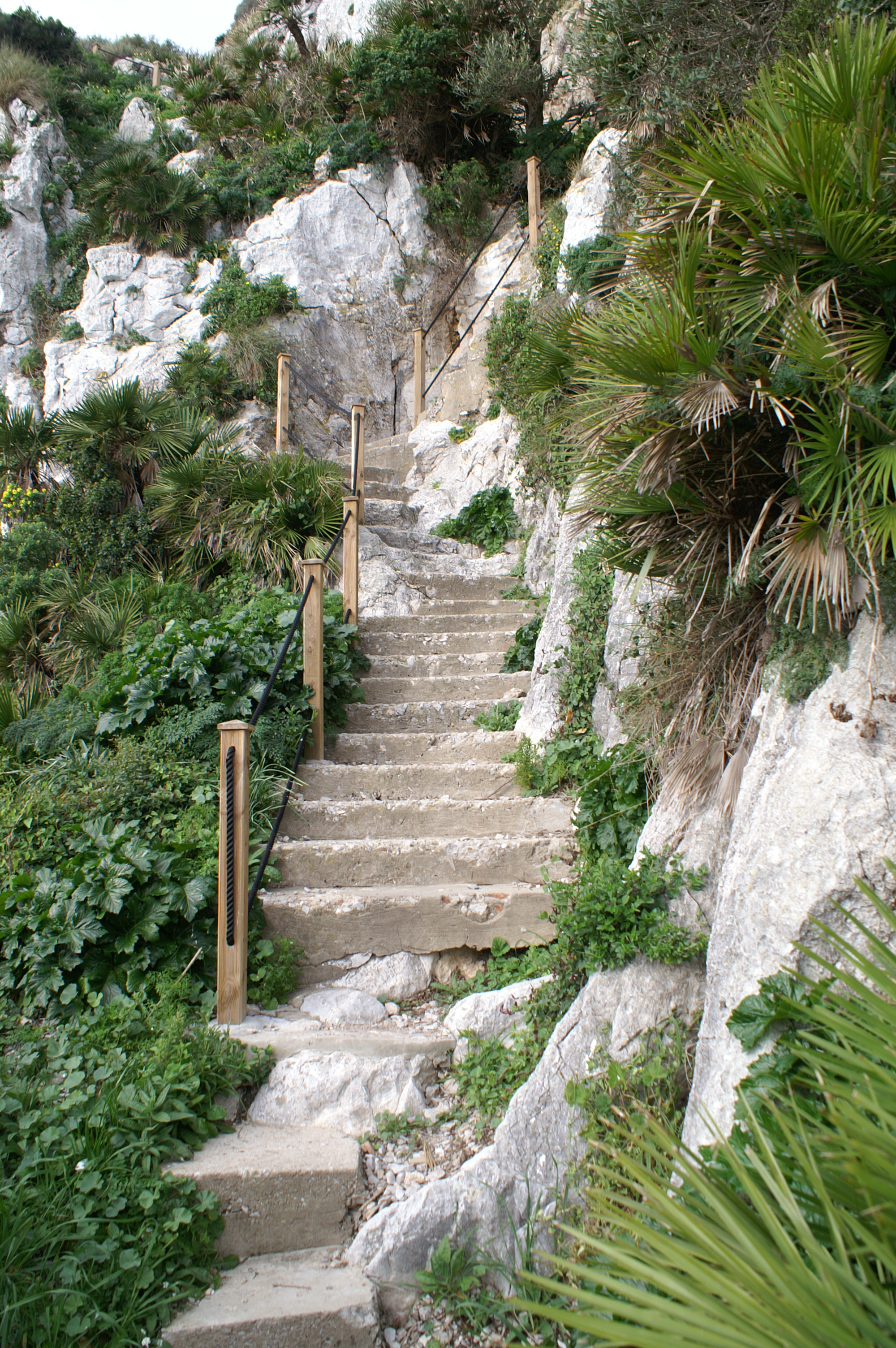 Mediterranean Steps — travel photo of Mediterranean Steps, Upper Rock Nature Reserve
