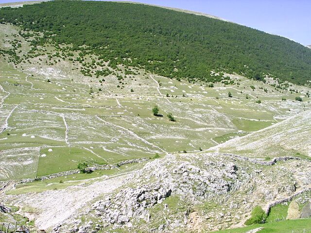 Lukomirske udoli, rozparcelovane na ovci ohrady — travel photo of Lukomir, Sarajevo