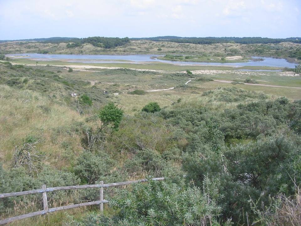 Zuid-Kennemerland National Park — travel photo of Zuid-Kennemerland, Haarlem & Zandvoort