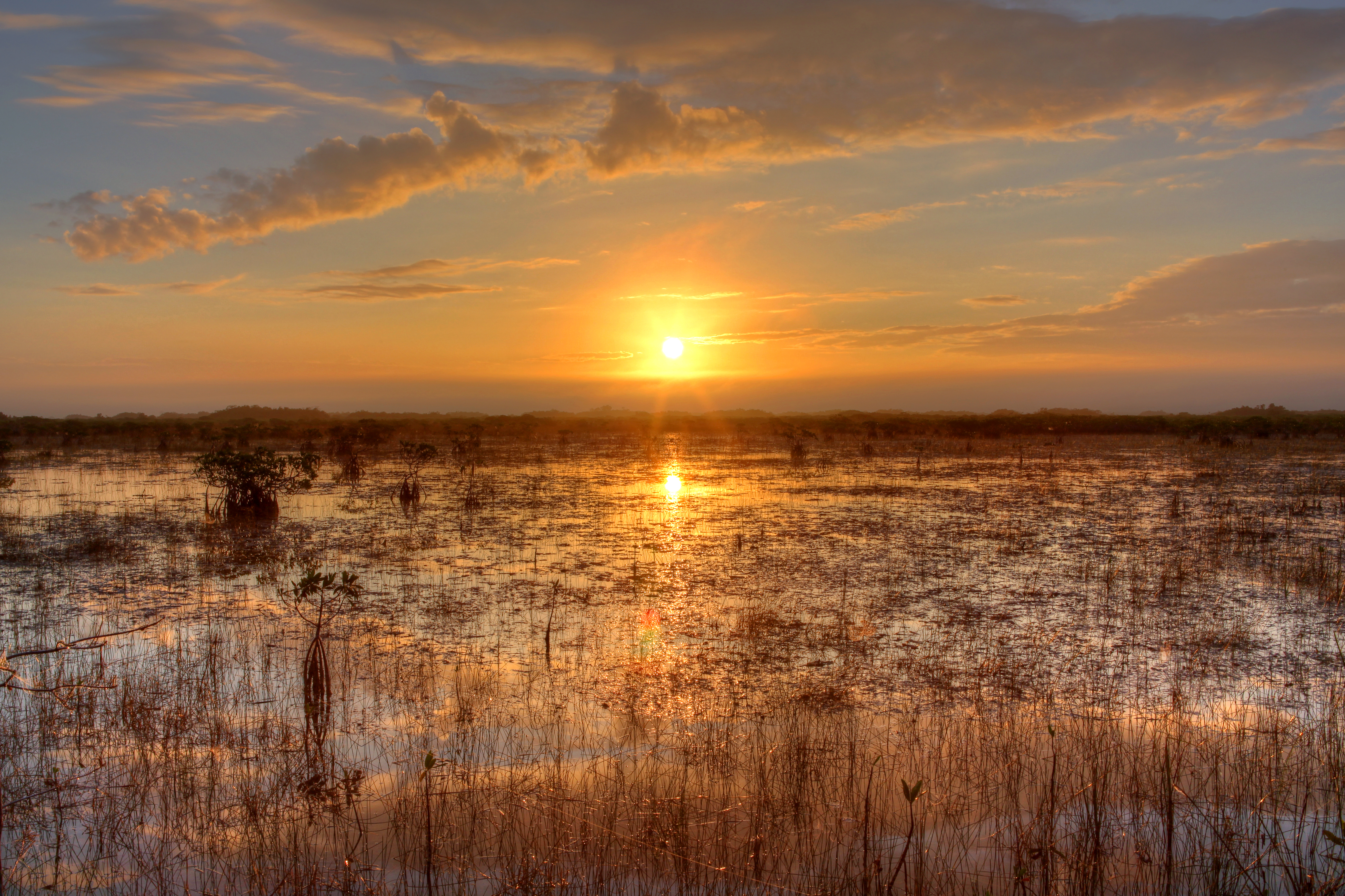 Everglades National Park — travel photo of Everglades airboats, Miami