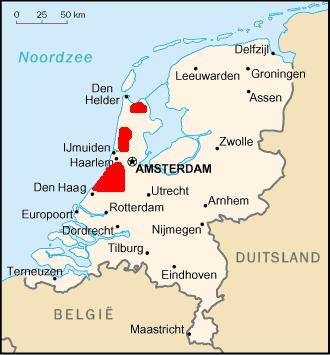 Flower bulb cultivation in the Netherlands — travel photo of Leiden & the bulb fields