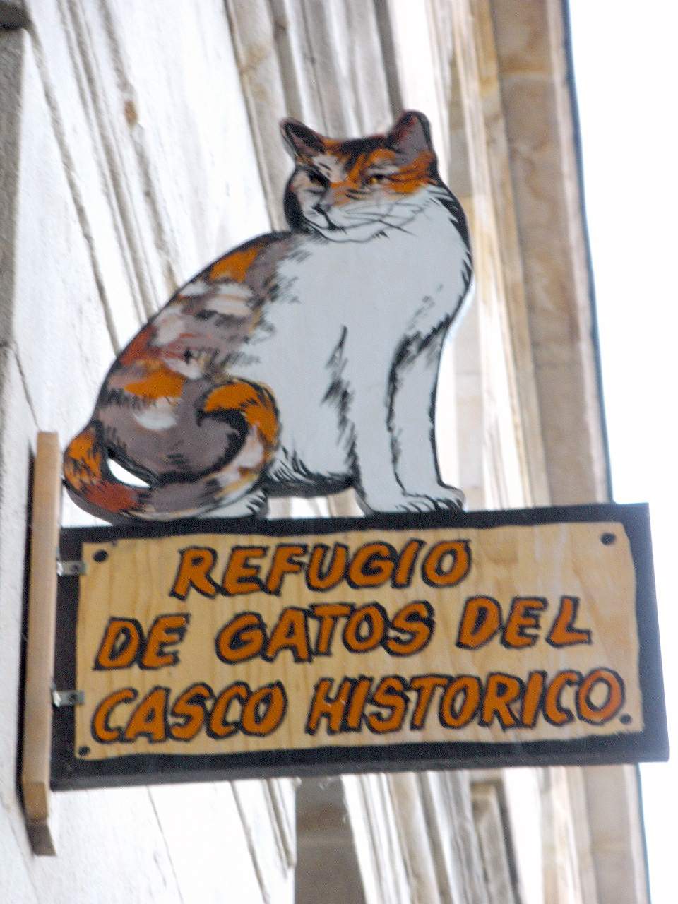 Vitoria - Antiguo refugio de gatos del Casco Histórico, en el Campillo — travel photo of Casco Medieval, Vitoria-Gasteiz