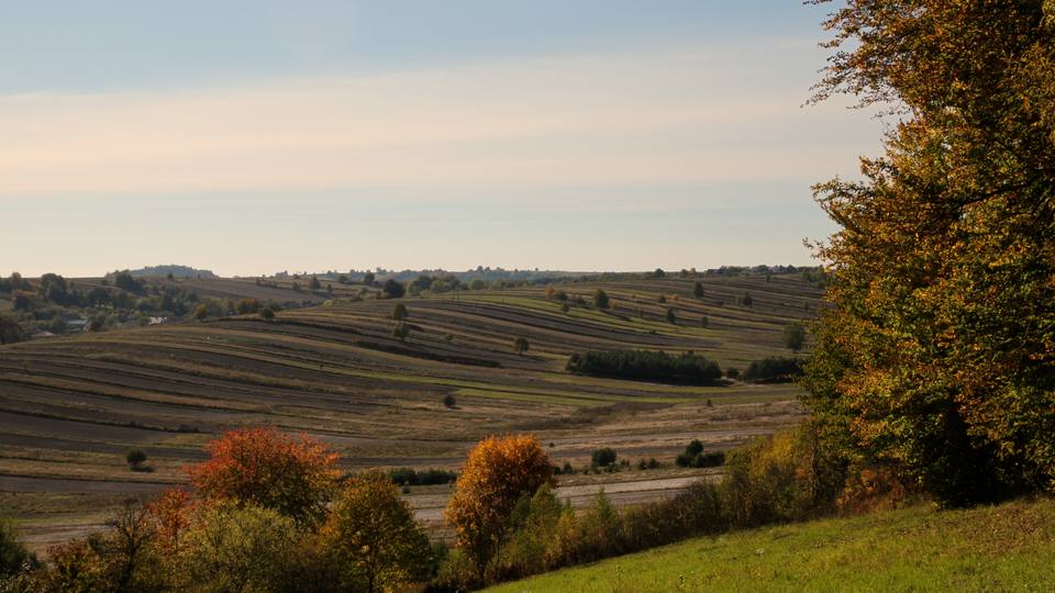 Roztocze — travel photo of Roztocze National Park, Lublin & the Eastern Borderlands