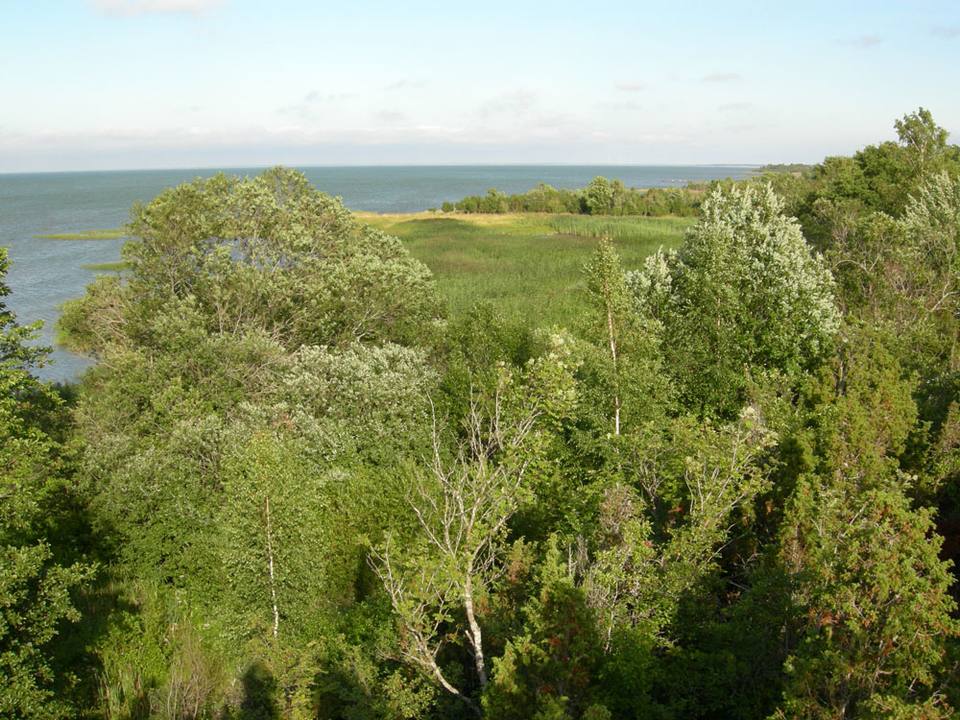 NorthMuhuCoast — travel photo of Muhu, Saaremaa