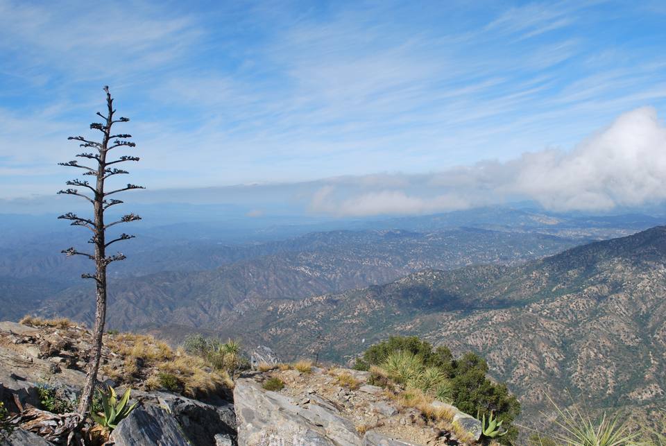 Sierra de la Laguna — travel photo of Sierra de la Laguna, Todos Santos