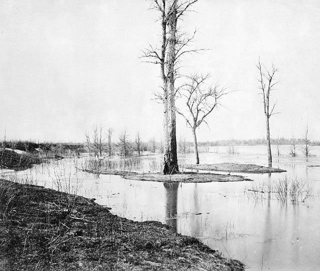 High Water on Red River near Dufferin Spring — travel photo of High River, Calgary