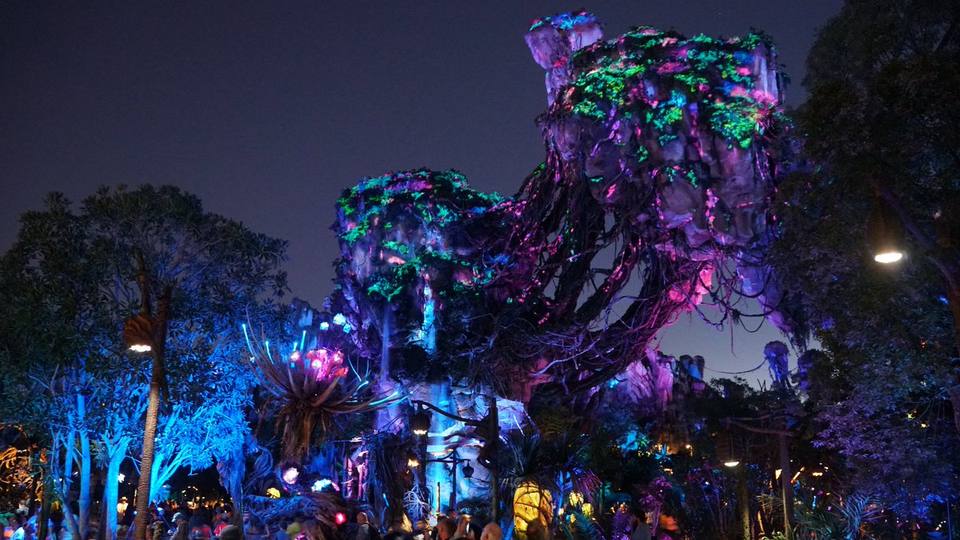 Nighttime landscape in Pandora – The World of Avatar — travel photo of Pandora – The World of Avatar, Disney's Animal Kingdom