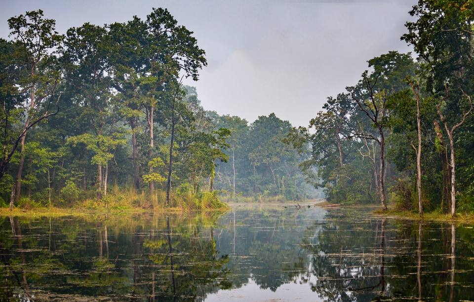 Chitwan National Park — travel photo of Chitwan National Park, Nepal: Kathmandu and the Himalaya