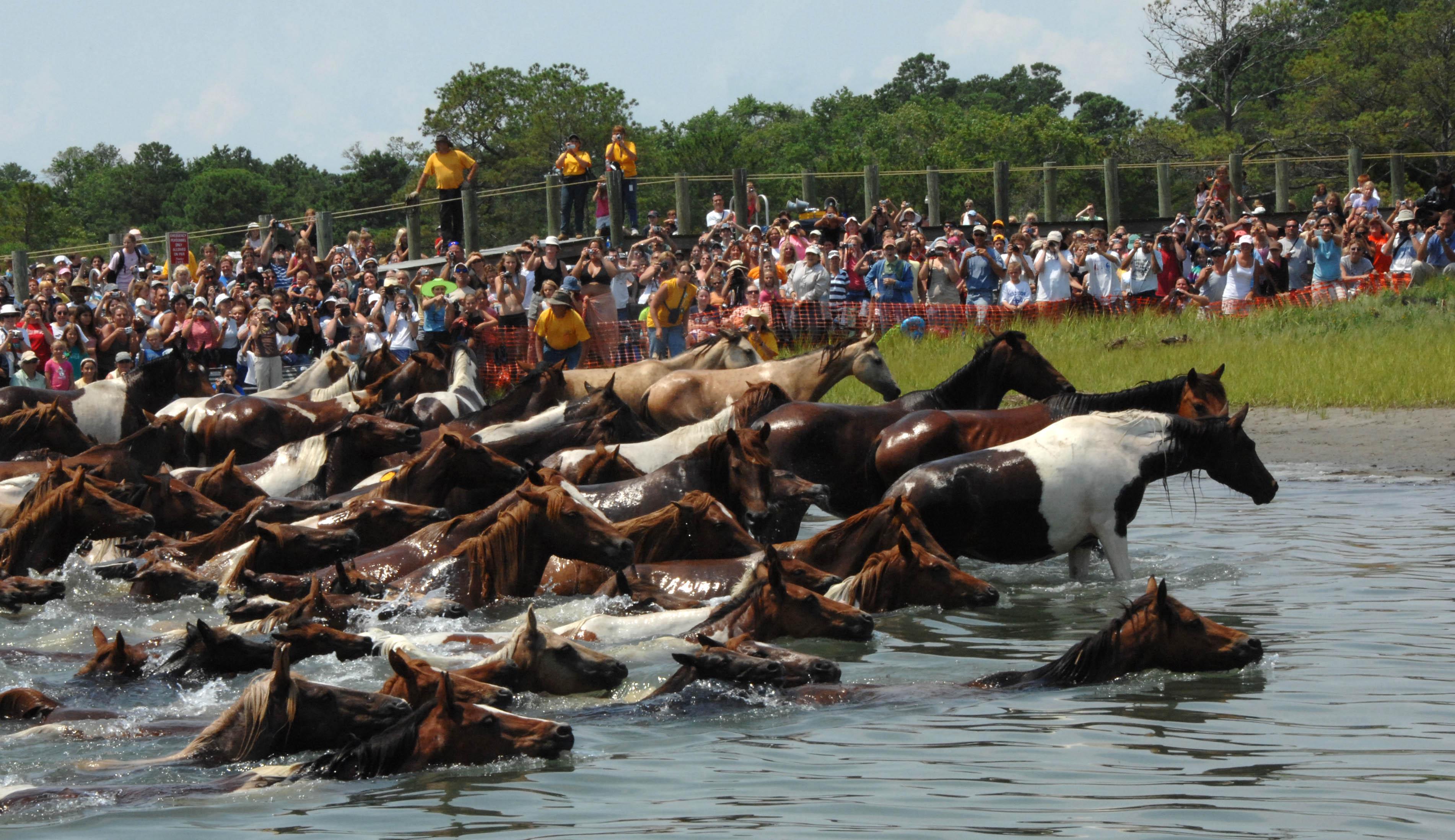 History of Chincoteague, Virginia — travel photo of Chincoteague, Virginia Beach & Williamsburg