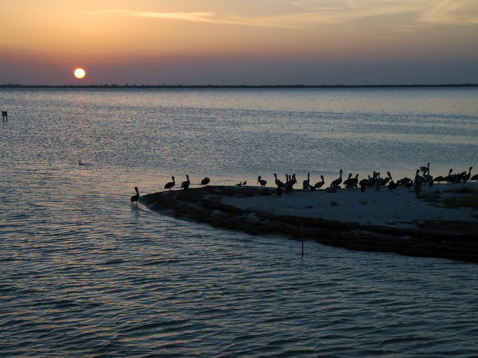 Sunset, Isla de los Pajaros ( ) — travel photo of Isla Pájaros, Isla Holbox