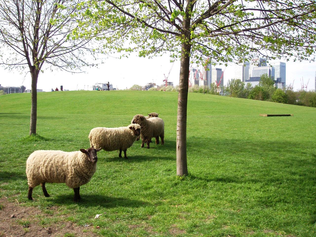 Mudchute Park and Farm — travel photo of Battery Park embarkation