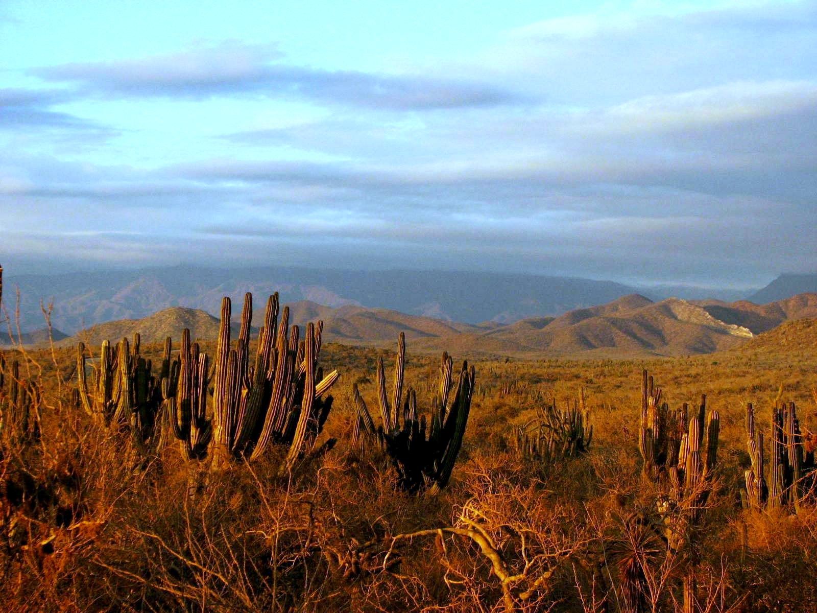 El Pescadero — travel photo of El Pescadero, Todos Santos