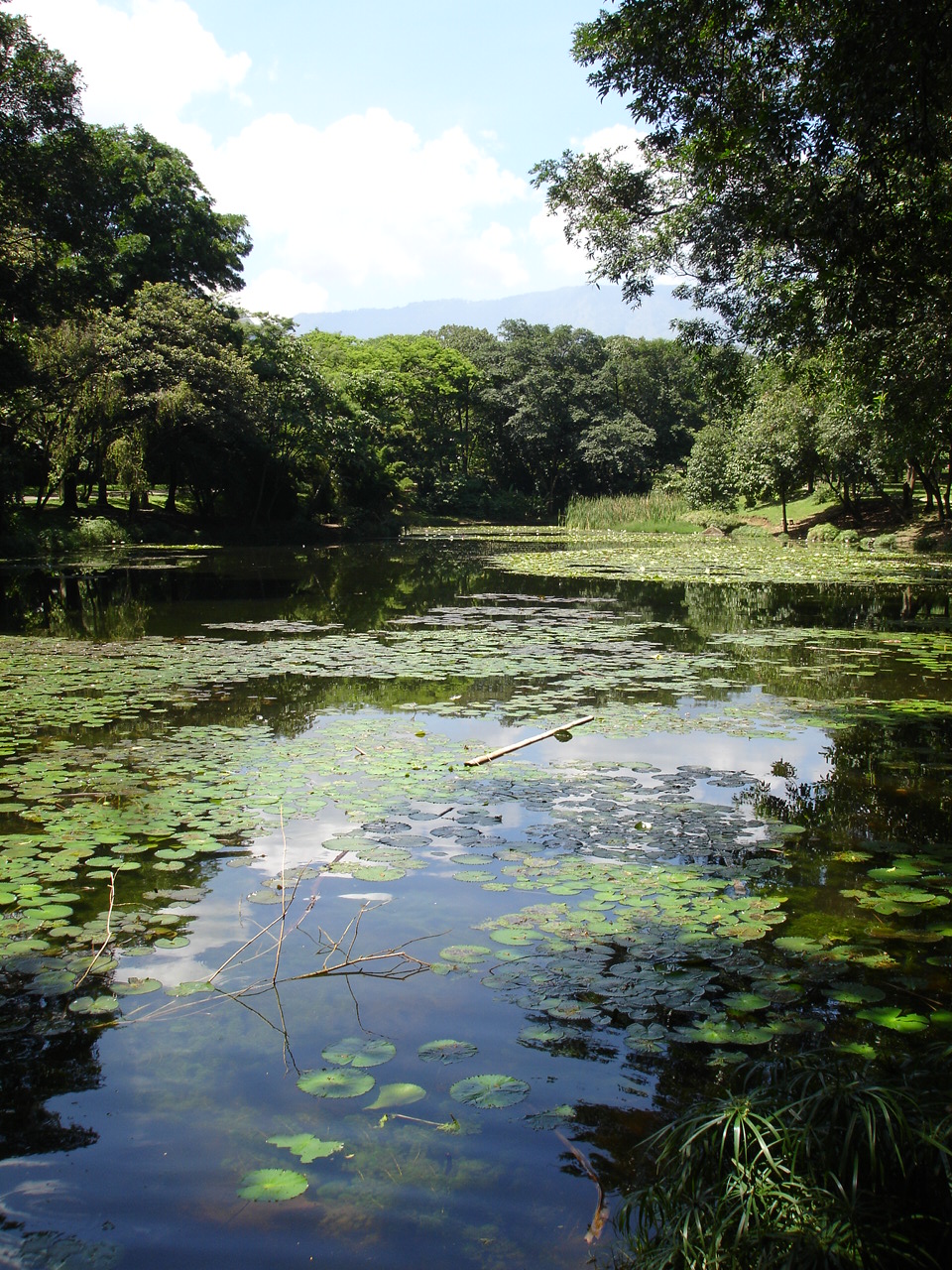 Jardin Botanico-Lago-Medellin — travel photo of Jardín, Medellín