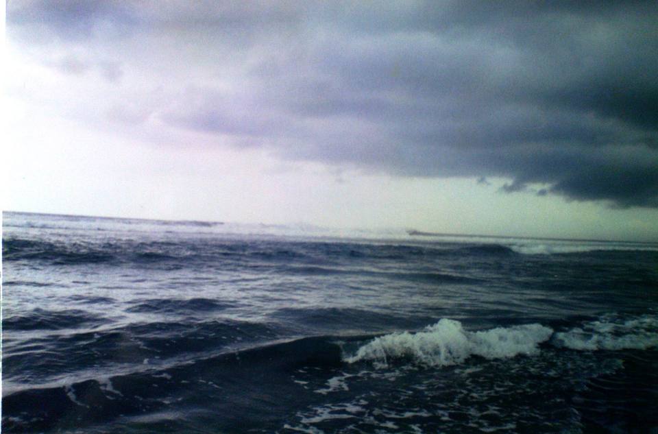 Veracruz Reef System National Park — travel photo of Reef National Park, Puerto Morelos