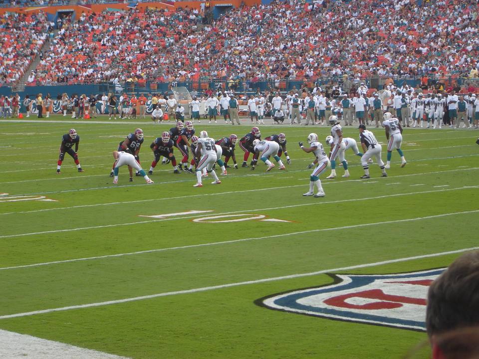 2007 Miami Dolphins season — travel photo of Dolphin spotting, Europa Point
