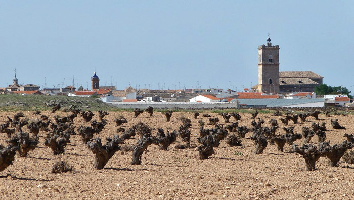 El Toboso, viñas e iglesias — travel photo of El Toboso, Toledo