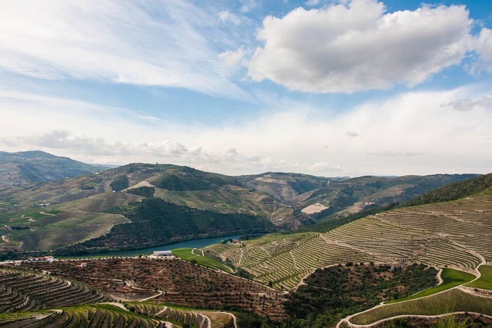 The Douro Valley and vineyard view — travel photo of Douro Valley