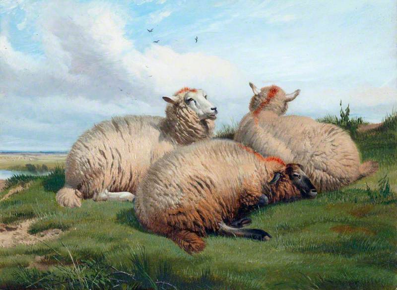 Thomas Sidney Cooper ( - ) - Sheep - - - Victoria and Albert Museum — travel photo of Sidney, Victoria
