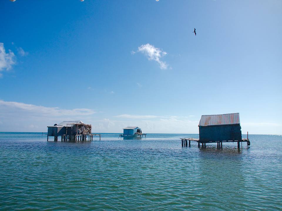 Banco Chinchorro — travel photo of Banco Chinchorro