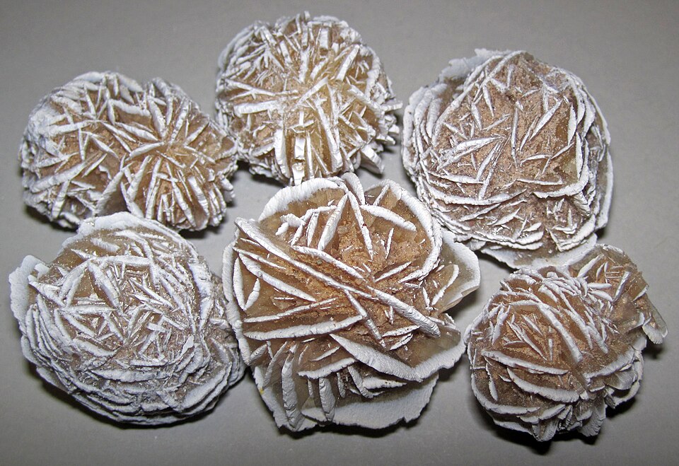 Gypsum roses (Ahumada Playa, Chihuahua, Mexico) 1 ( ) — travel photo of Chihuahua, Northern Mexico