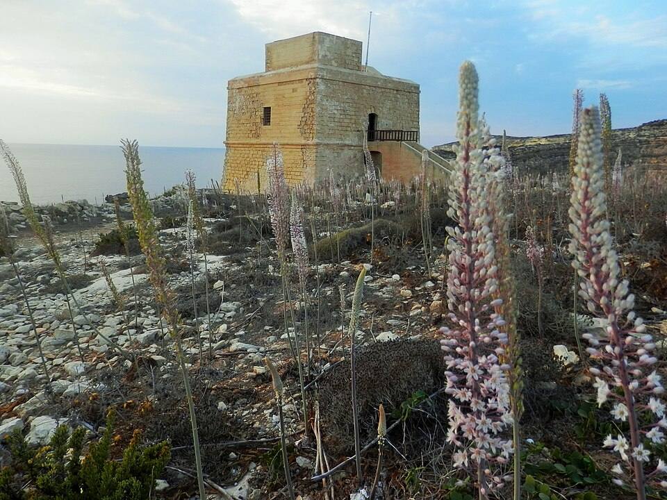 Dwejra Tower, Gozo — travel photo of Dwejra, Gozo
