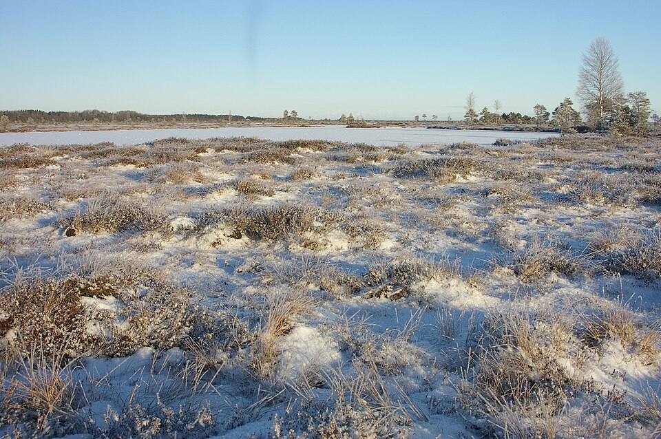 Soomaa-Benowitsch — travel photo of Soomaa
