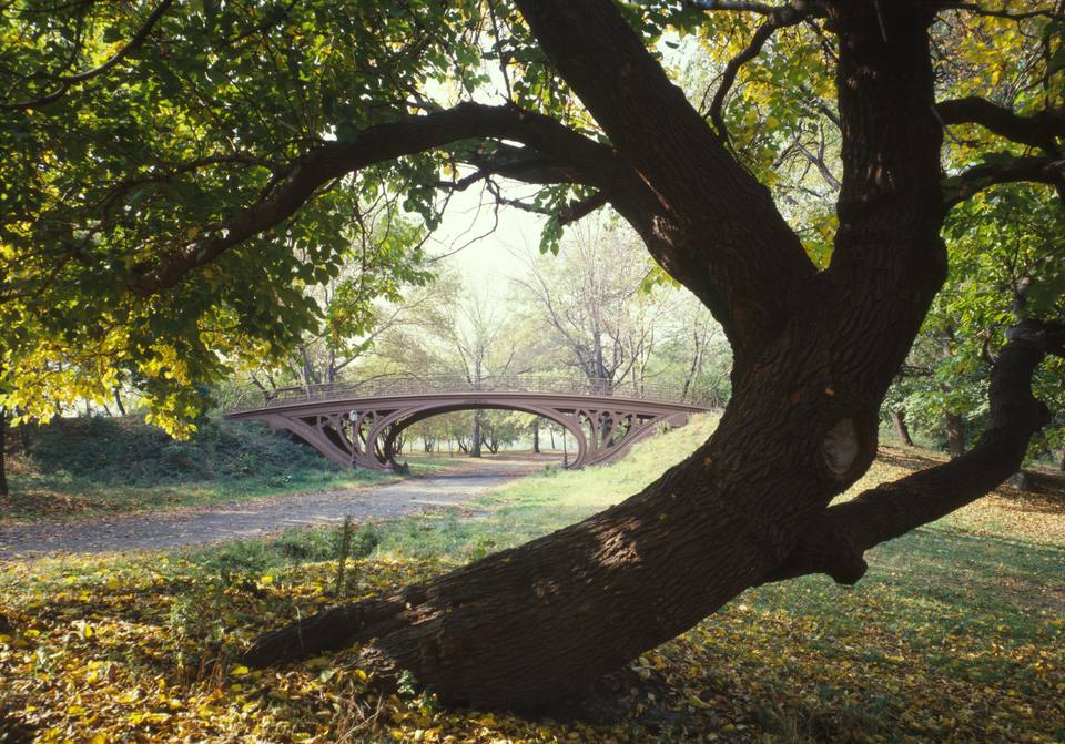 Central Park New York City New York cropped — travel photo of New York, Universal Studios Florida