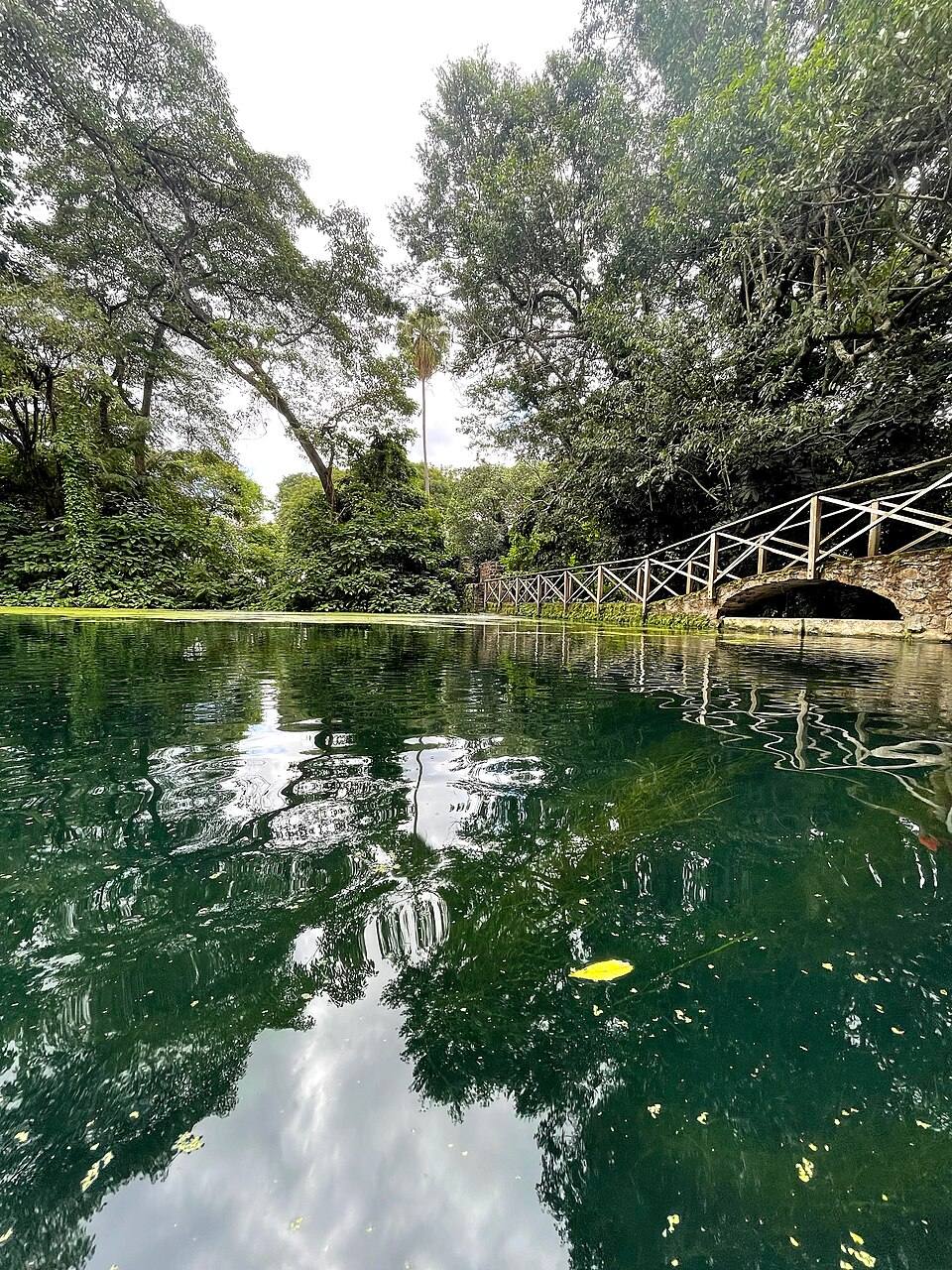 Bridge at Ngaresero, Usa River, Meru District — travel photo of Usa River, Arusha