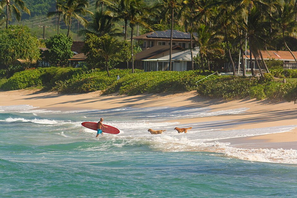Walk along the North Shore - Haleiwa to Laniakea Beach ( ) — travel photo of Haleiwa, North Shore of Oahu