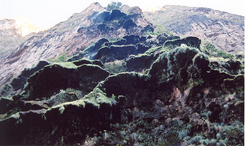 Christmas Tree, Cañón del Sumidero, Tuxtla Gutierrez — travel photo of Tuxtla Gutiérrez, Sumidero Canyon & Tuxtla