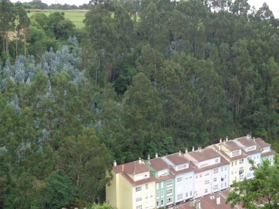 Vistas de Cudillero (Asturias) — travel photo of Cudillero