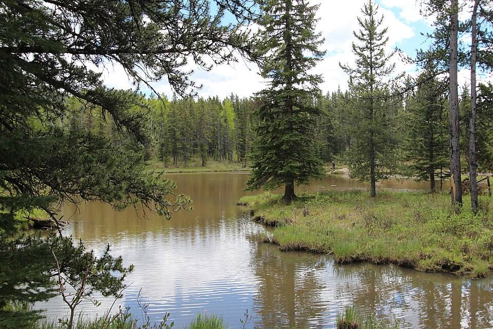 Maclean Creek pond Bragg creek Calgary ( ) — travel photo of Bragg Creek, Calgary