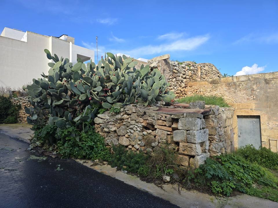 St Domenica church in Dingli — travel photo of Dingli