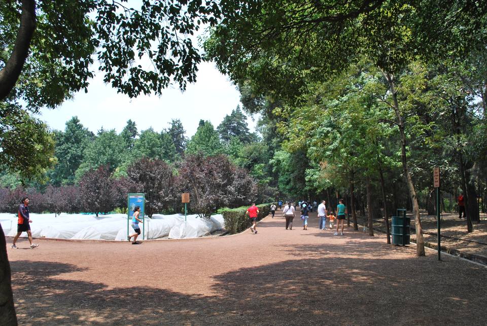 CirclePathViverosCoyoacanDF — travel photo of Viveros, Coyoacán