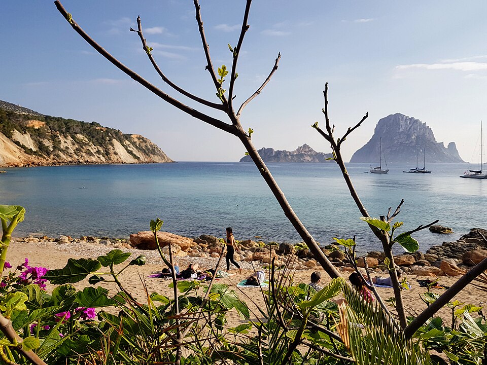 View of Es Vedrà from Cala D'hort and flowers — travel photo of Cala d'Hort (Es Vedrà)
