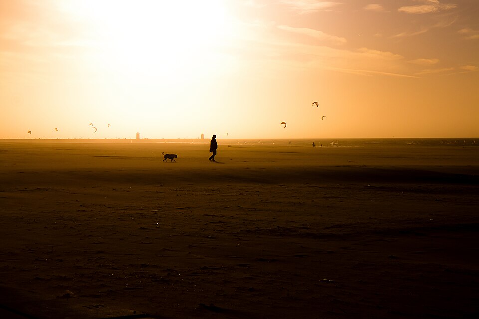 Man and dog on Scheveningen beach at sunset — travel photo of Scheveningen, The Hague & Scheveningen