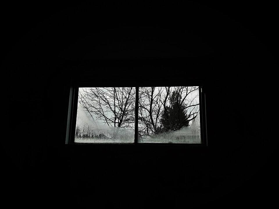 View from a Window in the Pacific Northwest — travel photo of The Pacific Northwest