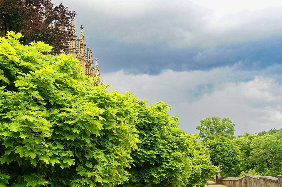 Kutná Hora - Park surrounding St. Barbara's Church - View ENE — travel photo of St Barbara's Church, Kutná Hora