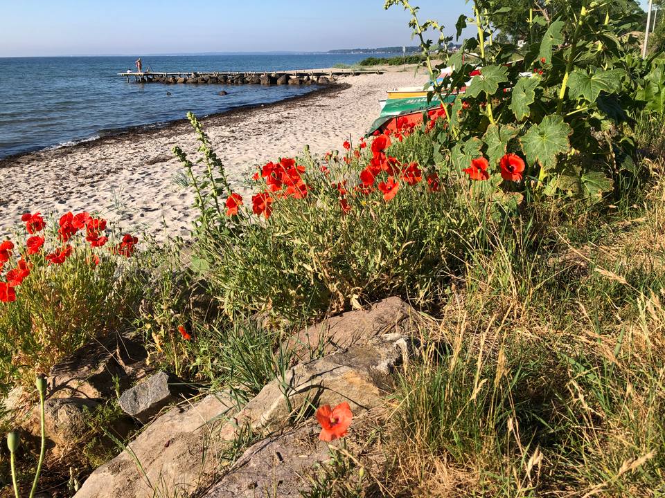 Beach at Snekkersten, North Zealand, Denmark — travel photo of North Zealand, Denmark