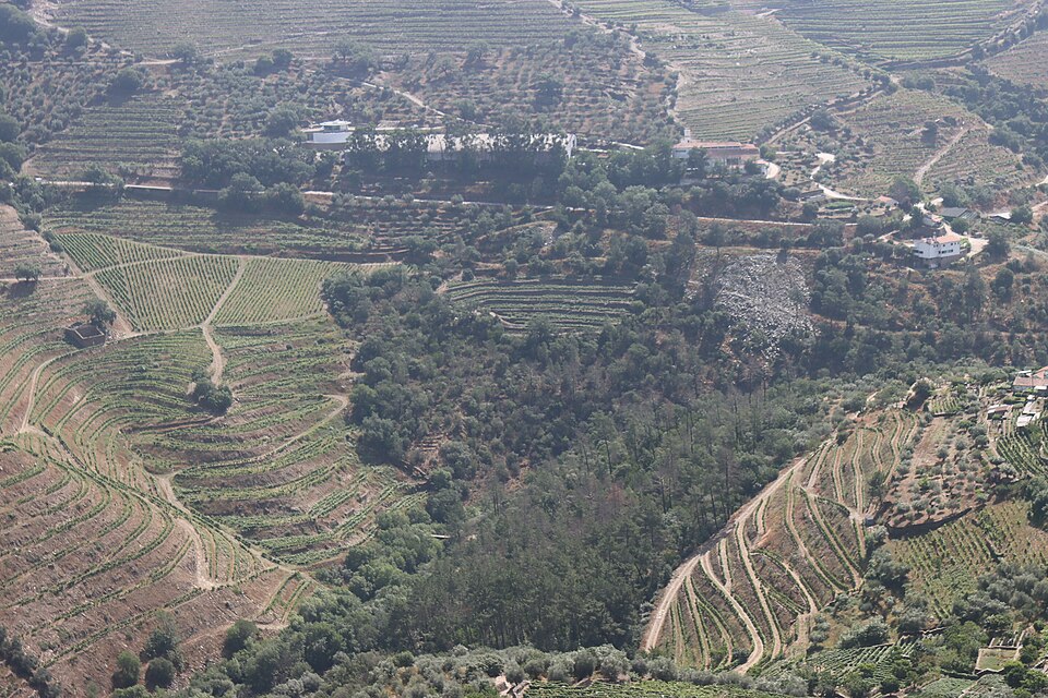 Douro Valley, Portugal ( ) — travel photo of Douro Valley, Portugal