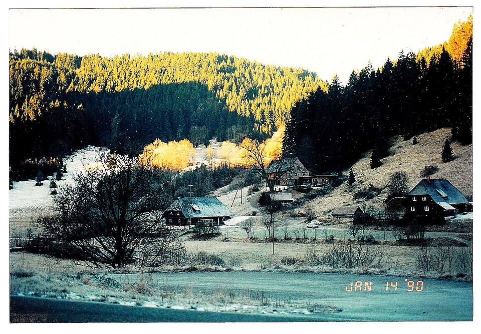 January Winter Titisee Mythos Black Forest - Deutschland magic Germany — travel photo of Titisee, Black Forest & Freiburg
