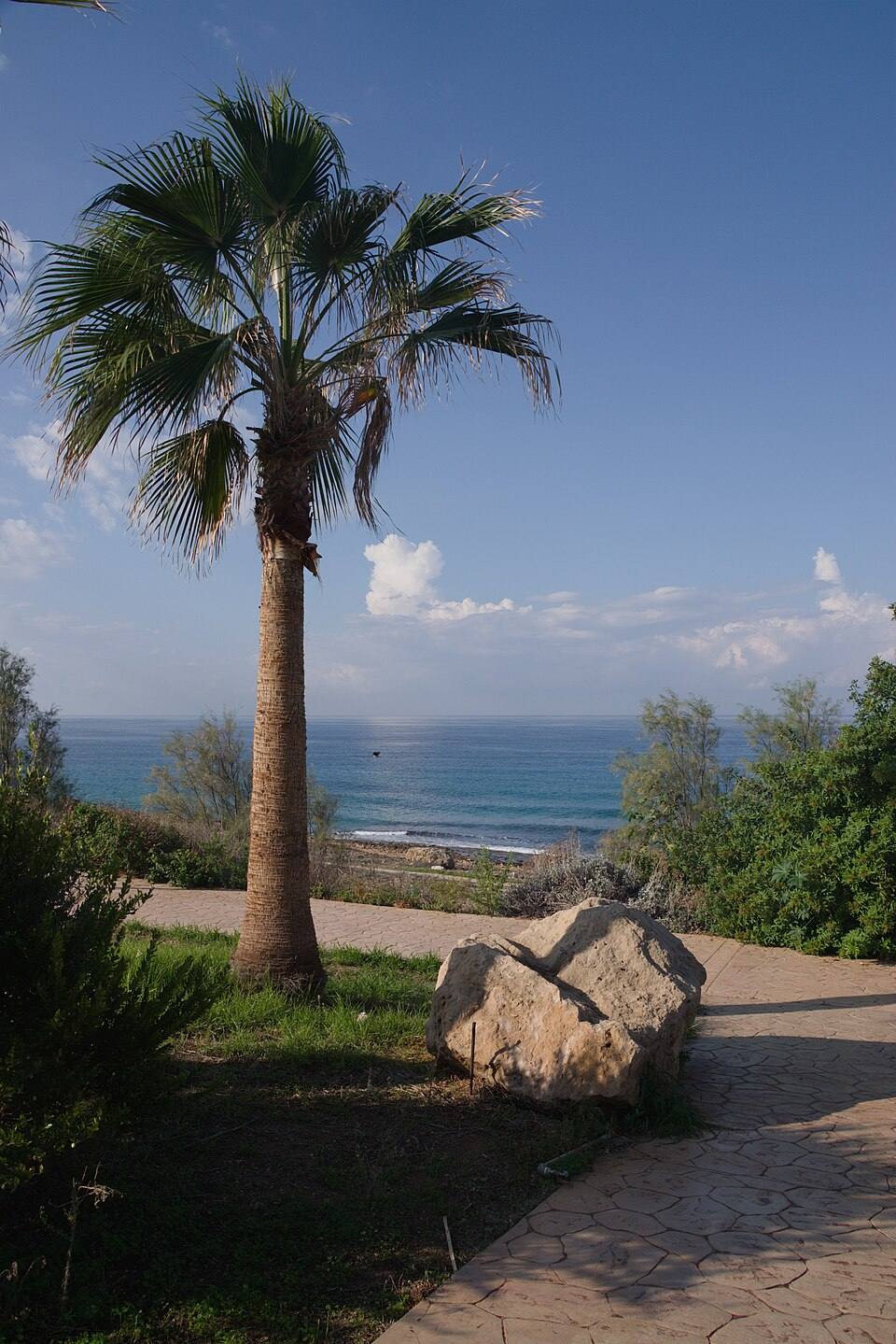 A sea view, Chloraka, Cyprus (IMGP1957p) — travel photo of Cyprus