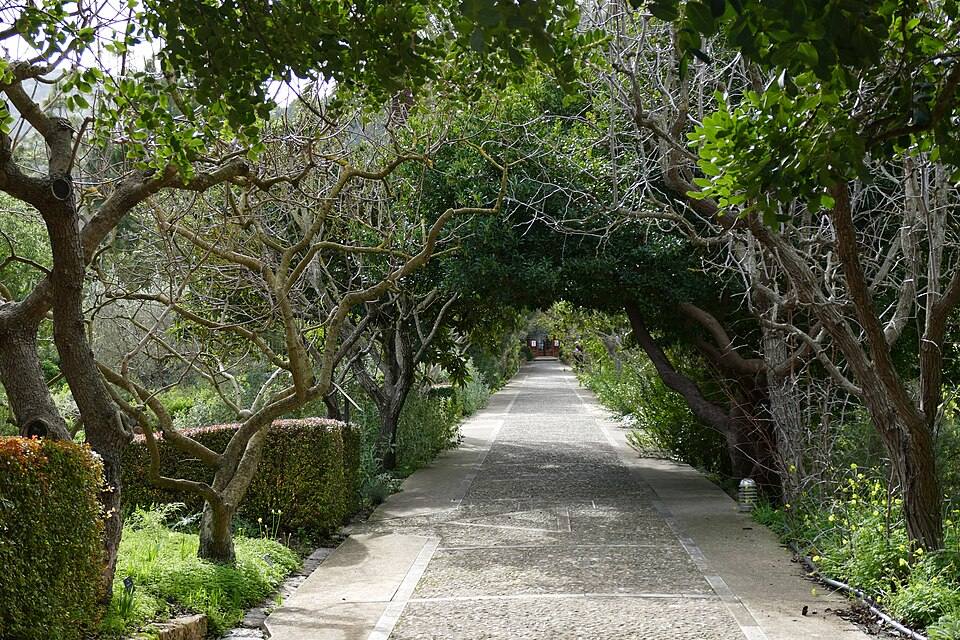 In Jardí Botànic de Sóller — travel photo of Sóller, Mallorca