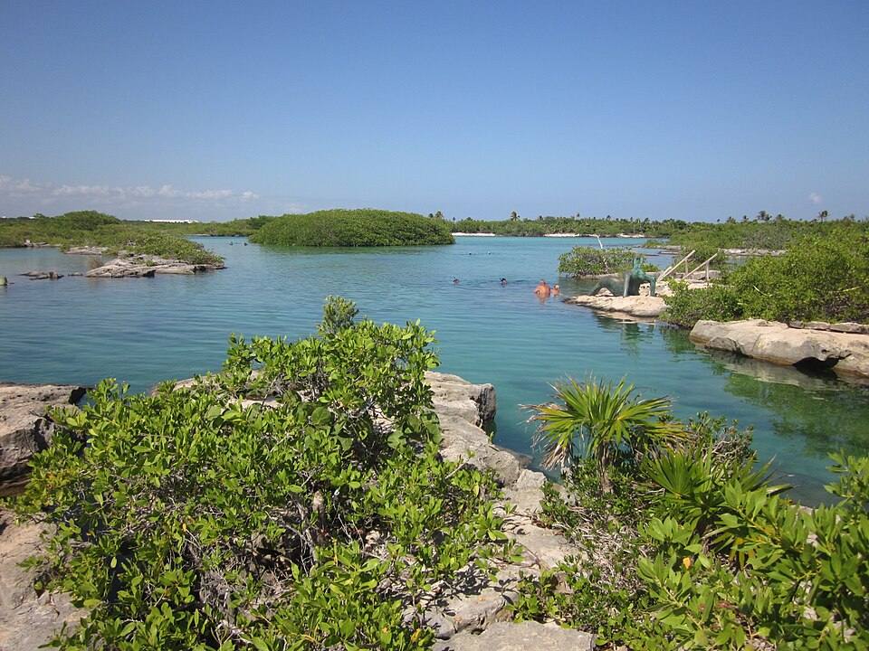 Yal-Ku Lagoon, Akumal ( ) — travel photo of Yal-kú Lagoon, Akumal